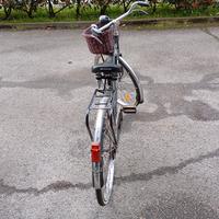 bicicletta vintage 