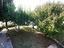 Immagine 22