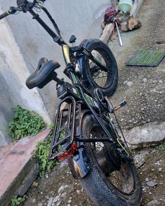Bici elettrica