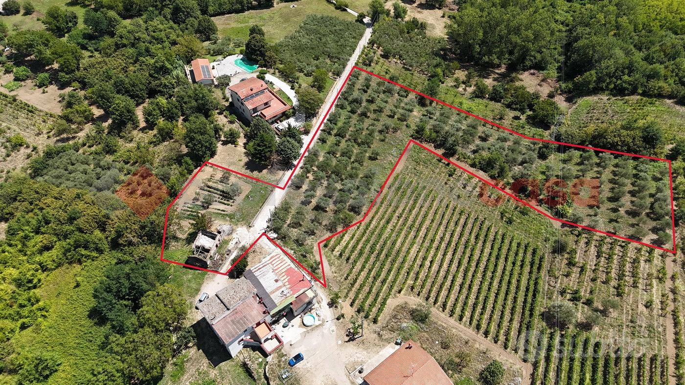 Terreno Agricolo San Martino Valle Caudina - Vista 5