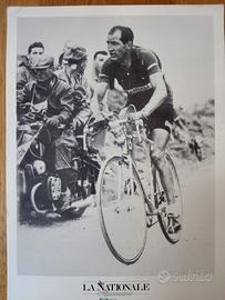 Immagine - Foto su cartoncino di Gino Bartali