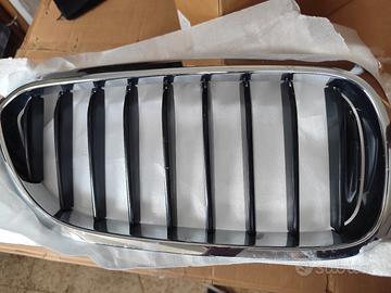 griglia BMW serie 5 g30 e g31
