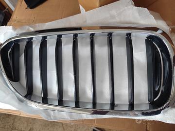 griglia BMW serie 5 g30 e g31