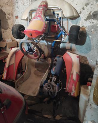 gokart birel 100cc