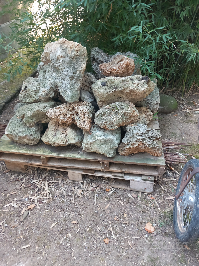 ROCCE Pietre Acquario - SVUOTO NEGOZIO - Animali In vendita a Taranto