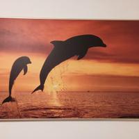 Quadro con delfini