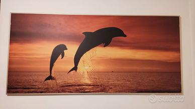 Quadro con delfini