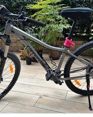 Bicicletta donna
