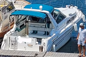 Sea Ray Sundancer 290