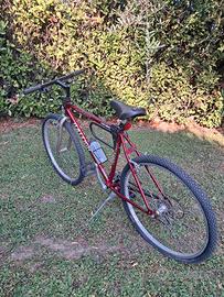 Bicicletta Mountain Bike Raleigh