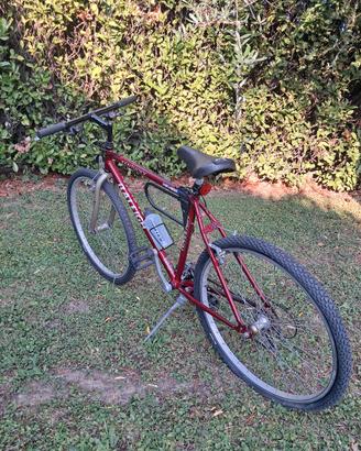 Bicicletta Mountain Bike Raleigh
