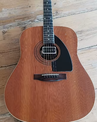 Chitarra vintage slide custom