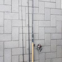 Canna da pesca feeder 