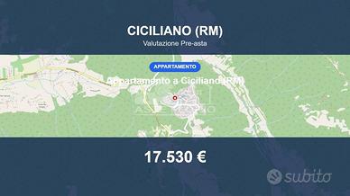 Immobile in asta di 66 m² a Ciciliano