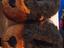 Immagine 2
