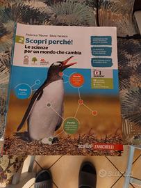 libro x scuola media 