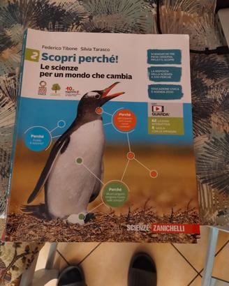 libro x scuola media 