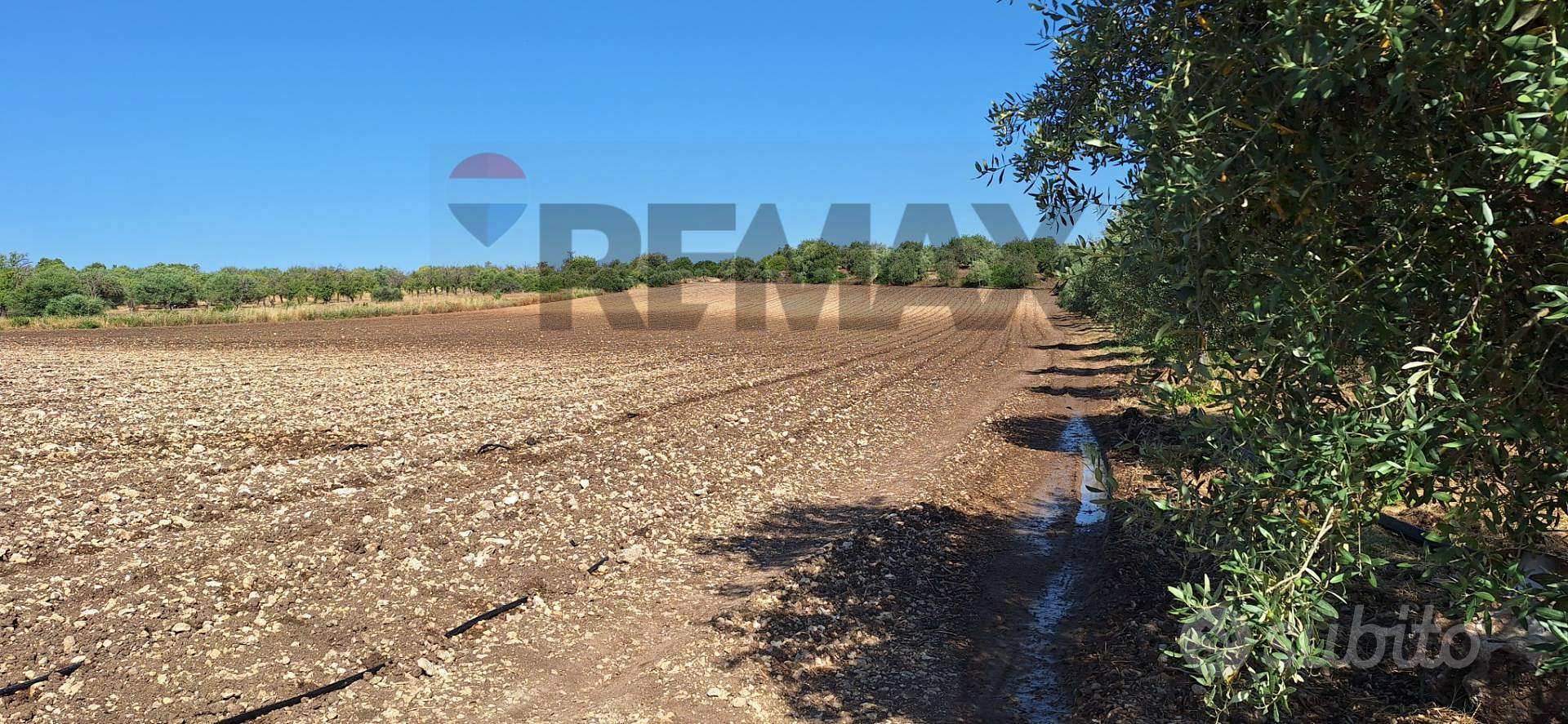 Terreno - Noto - Vista 4