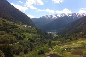 Ultimo appartamento 8-22 agosto euro 1600