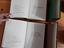 Immagine 3