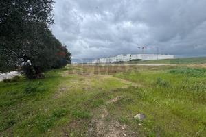 Terreno - Taranto