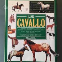 Libro " Il Mio Cavallo "