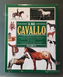 Libro " Il Mio Cavallo "