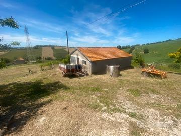 Terreno agricolo e capanna in muratura