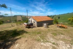Terreno agricolo e capanna in muratura