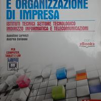 Gestione progetto e organizzazione d'impresa. Con