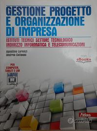 Gestione progetto e organizzazione d'impresa. Con