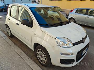 Fiat Panda anno 2019 benzina 5 posti