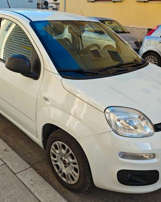 Fiat Panda anno 2019 benzina 5 posti