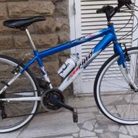 Mountain Bike - Grafic