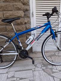 Mountain Bike - Grafic