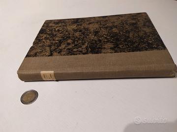 Le  Prime Piume - avventure domestiche - 1921