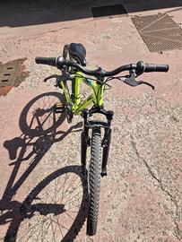 bicicletta 24 pollici 