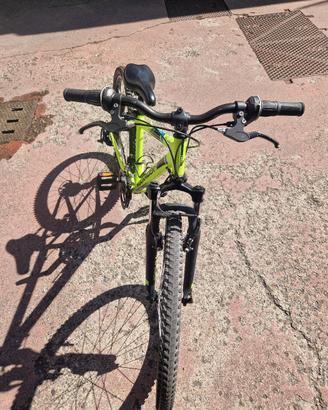 bicicletta 24 pollici 