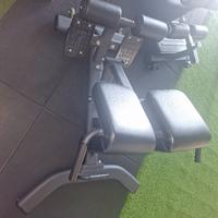 Hyperextension Toorx