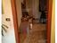 Immagine 13