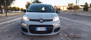 Fiat Panda Hybrid/Benzina 1.0 con garanzia 