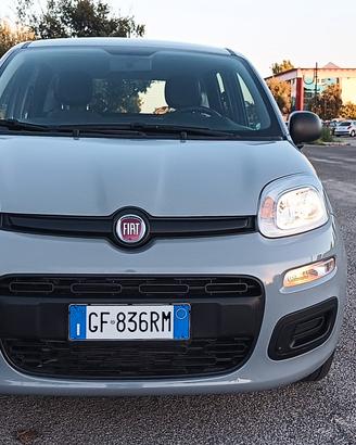 Fiat Panda Hybrid/Benzina 1.0 con garanzia 