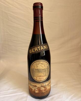 Bertani Amarone Valpolicella