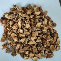 noccioli di pesca e gusci