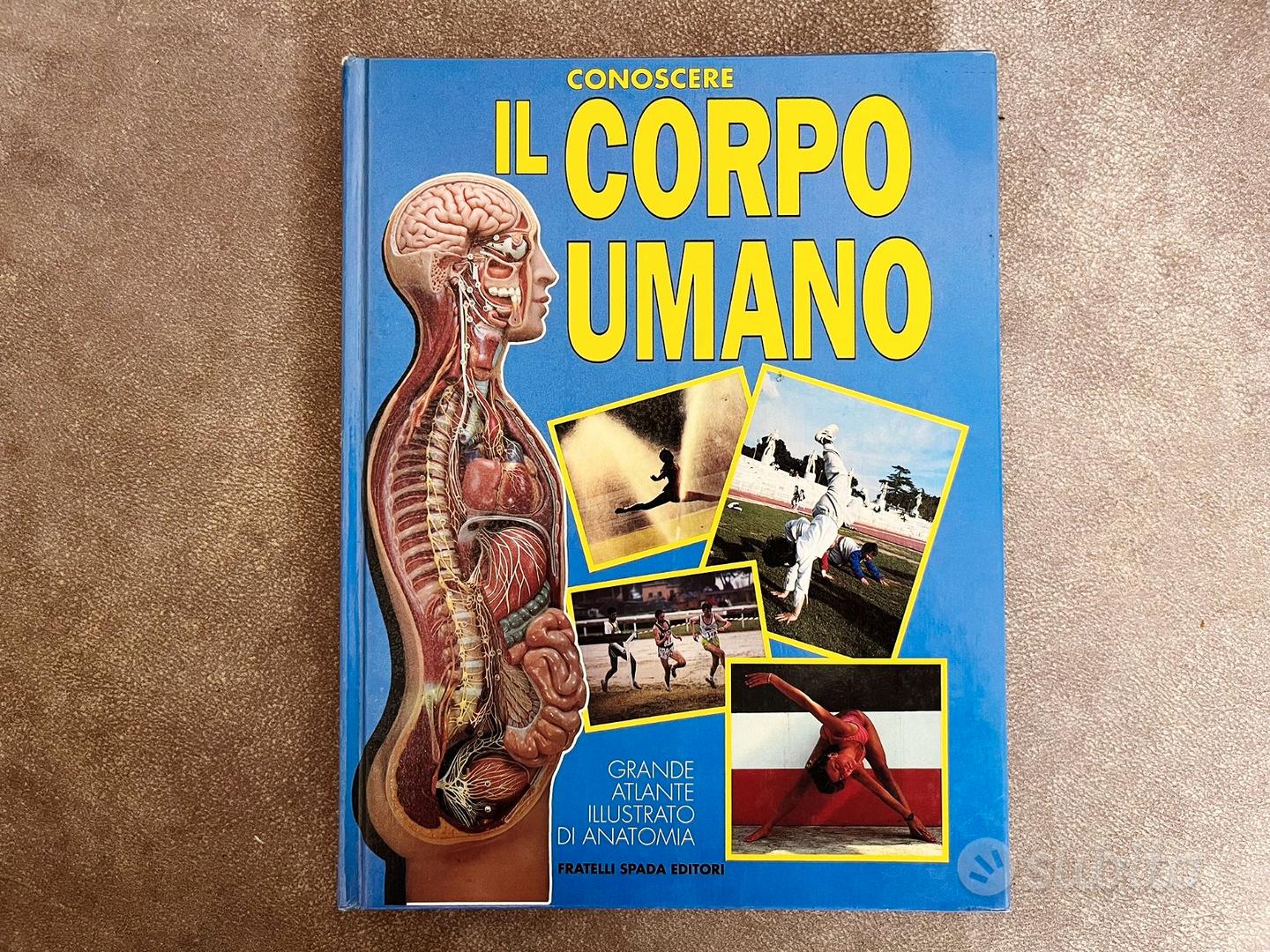 Conoscere il Corpo Umano - Atlante Anatomia - Libri e Riviste In vendita a  Isernia
