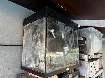 Acquario Juwel lido 120