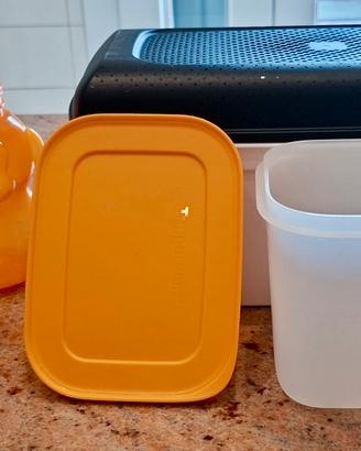 Mix Tupperware: borracce, portapane, Freezer Mates