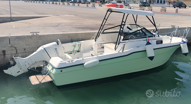 TROPHY BAYLINER 2020 140 cv suzuki 4 t