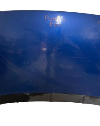 COFANO ANTERIORE FIAT Punto EVO (09>12)