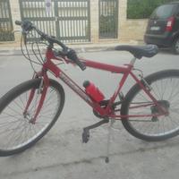 bici mountain bike Villier